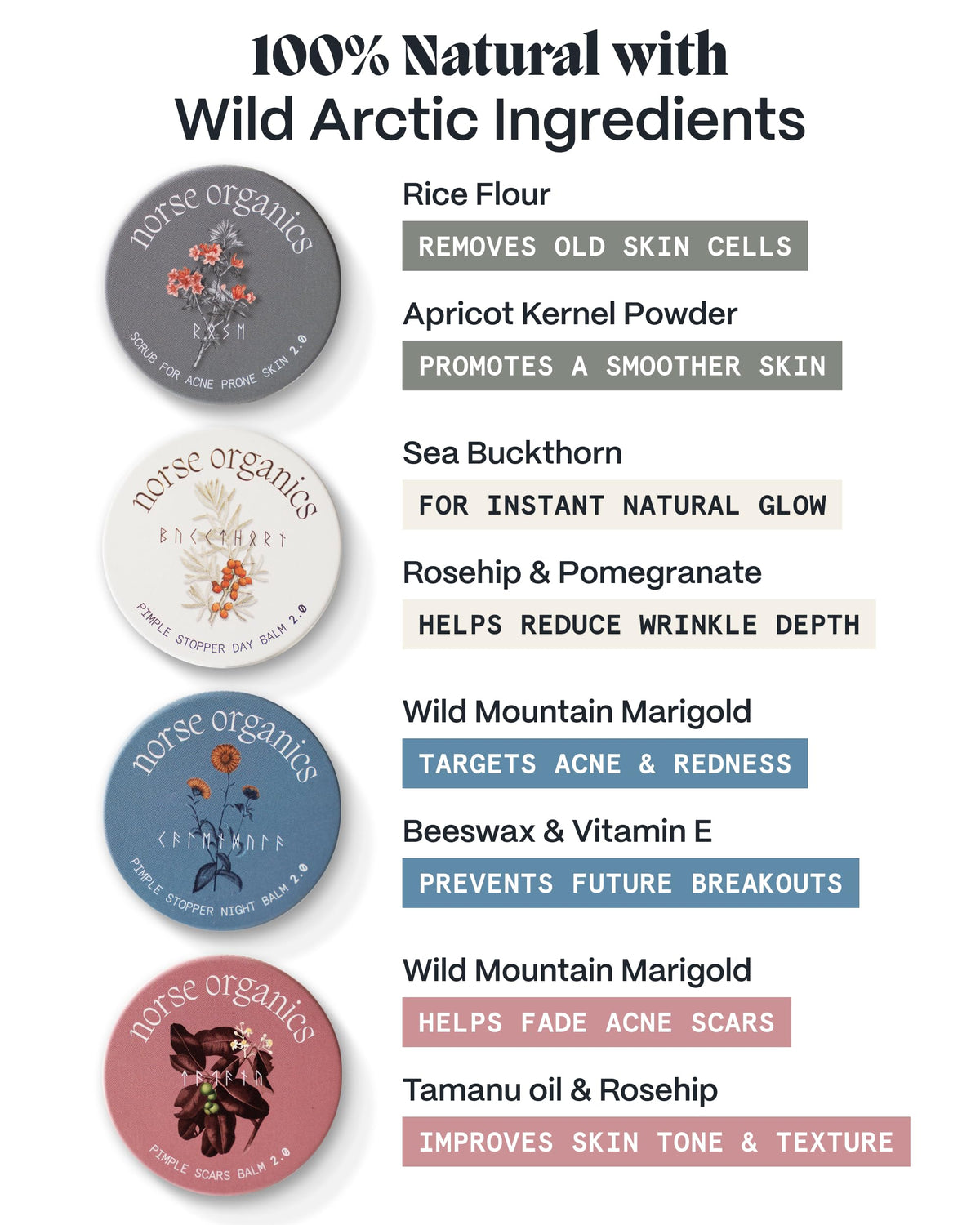 Norse Organics sea buckthorn and rosehip botanical display emphasizing restorative botanicals