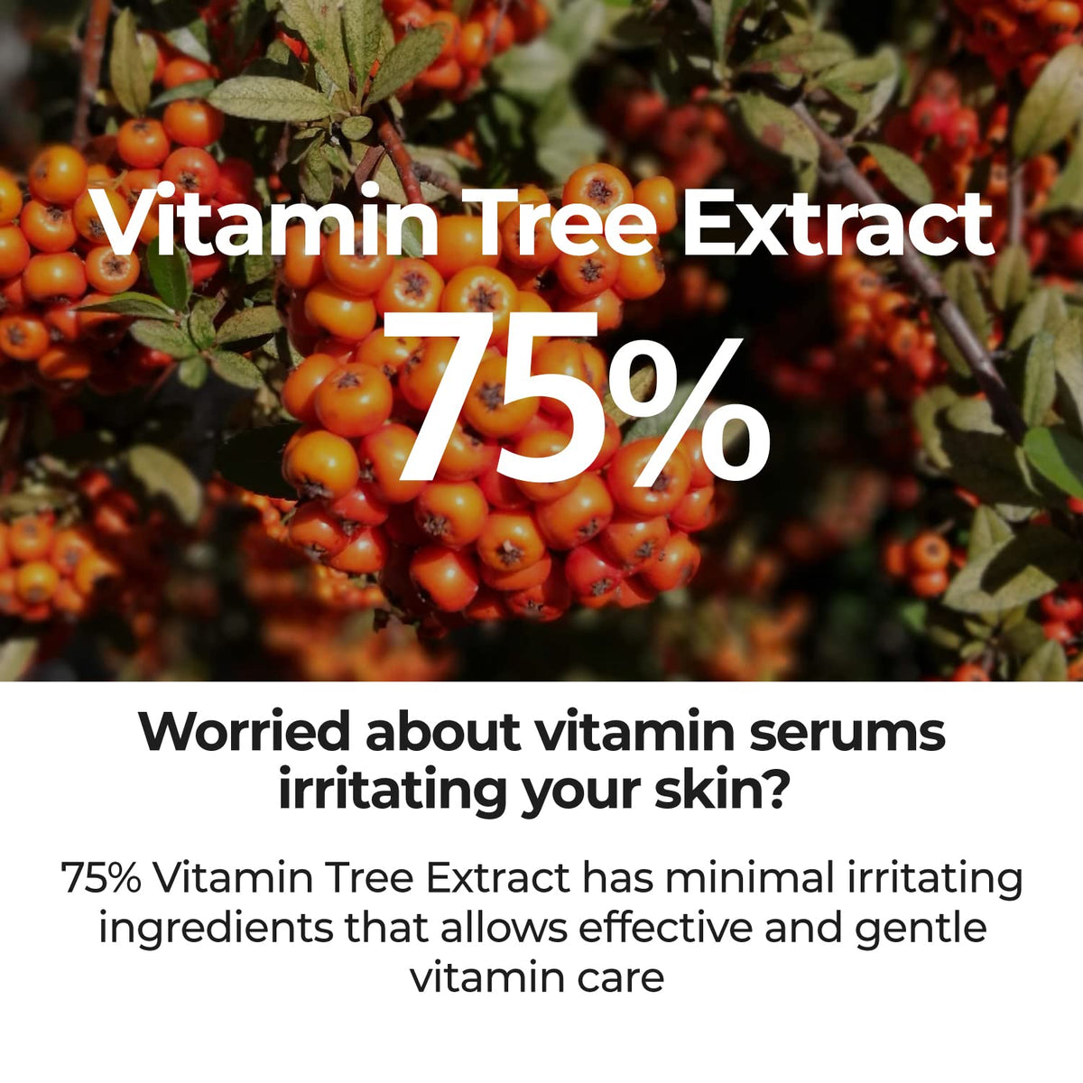 numbuzin label close-up listing Vitamin C and niacinamide, ingredient clarity