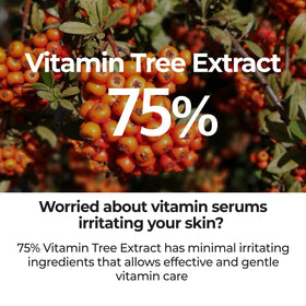 numbuzin label close-up listing Vitamin C and niacinamide, ingredient clarity