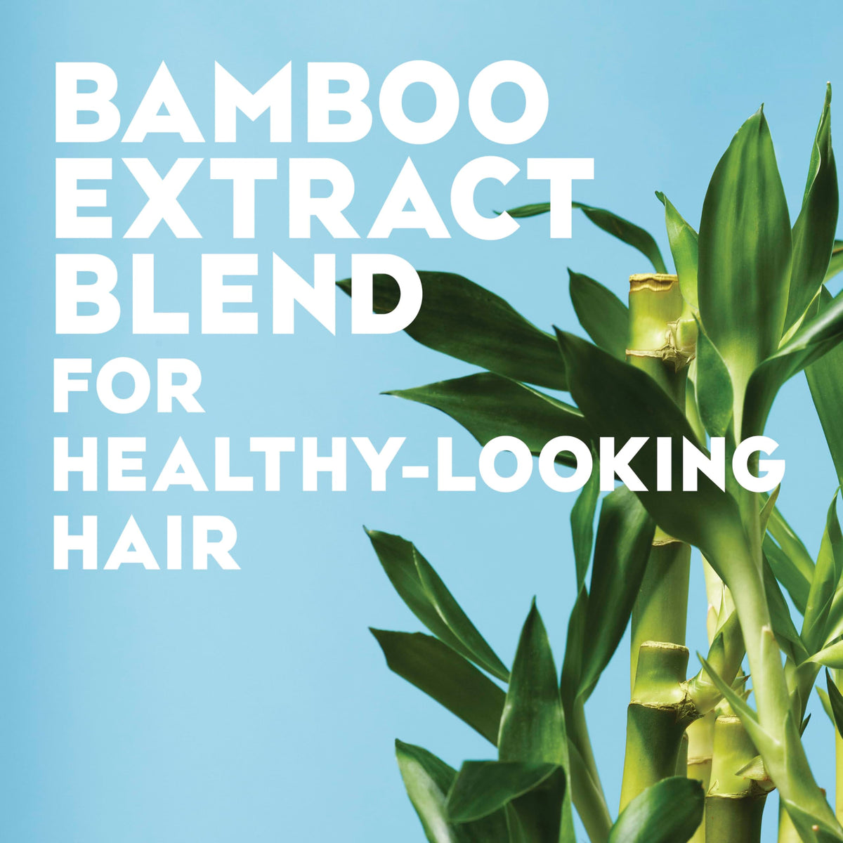 OGX applied to dry hair to smooth frizz and boost shine instantly