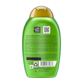 OGX rosemary and mint ingredients visual emphasizing natural scent