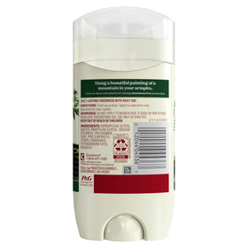 Old Spice Alpine stick in outdoor setting evoking fresh scent and active lifestyle benefit