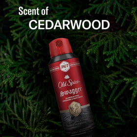 Old Spice on bathroom shelf in lifestyle scene implying daily grooming routine