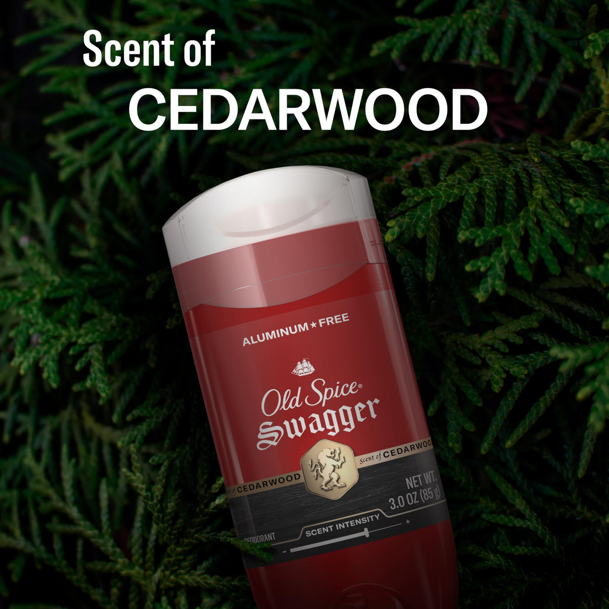 Old Spice Swagger application demo underarm for quick odor control benefit