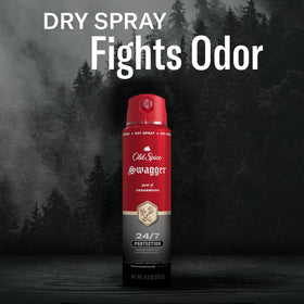 Old Spice Swagger two cans pack shot indicating value and backup supply