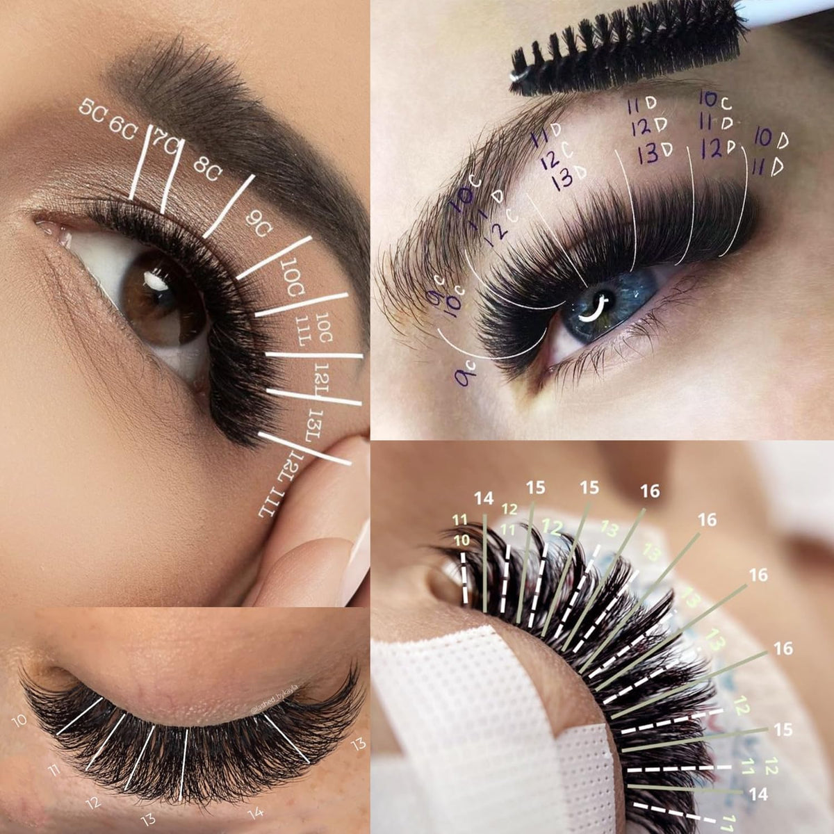 OLLOLASHES lash held with tweezers showing precision pickup benefit
