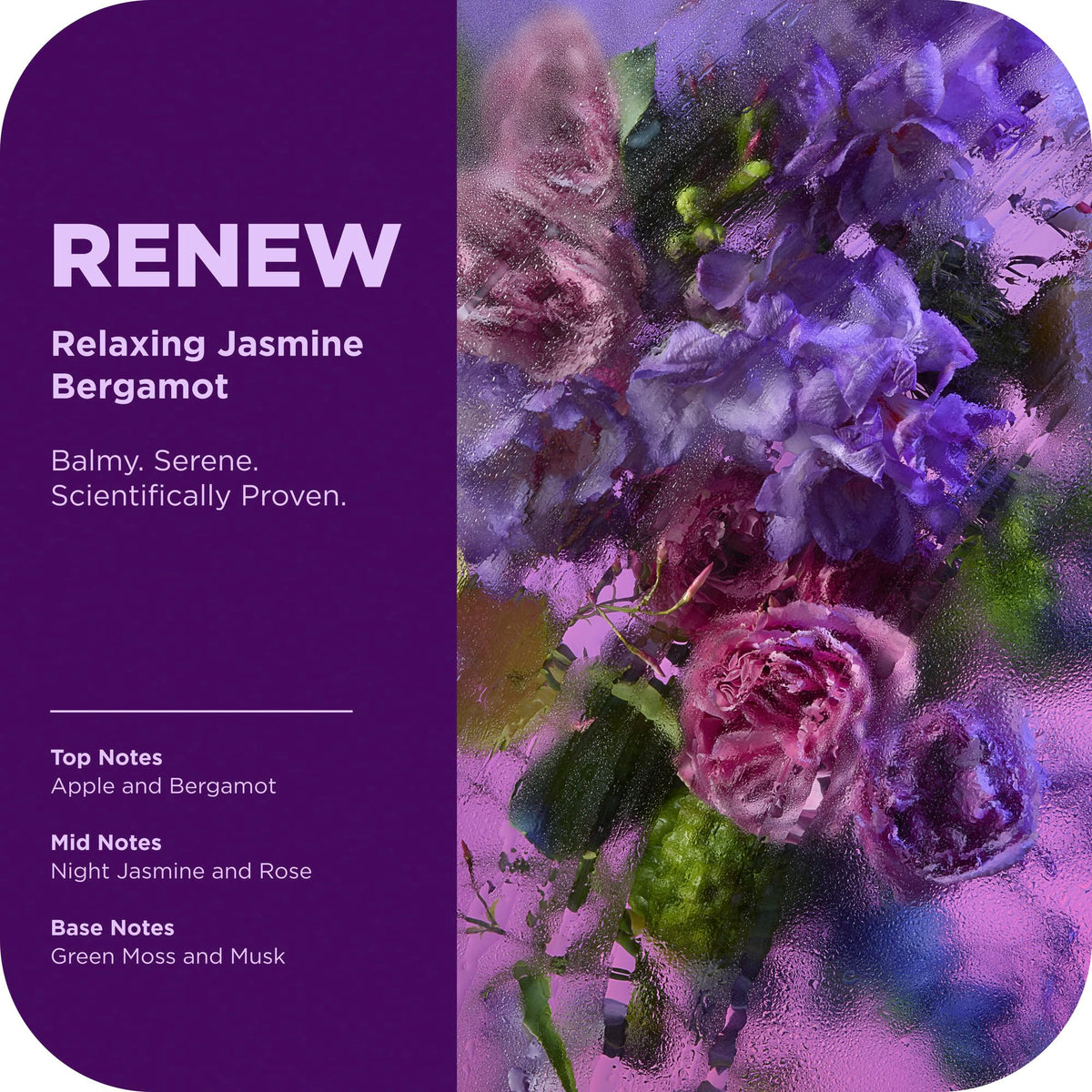 OLLY pump and cap detail of Renew Body Serum highlighting easy dispensing and convenience