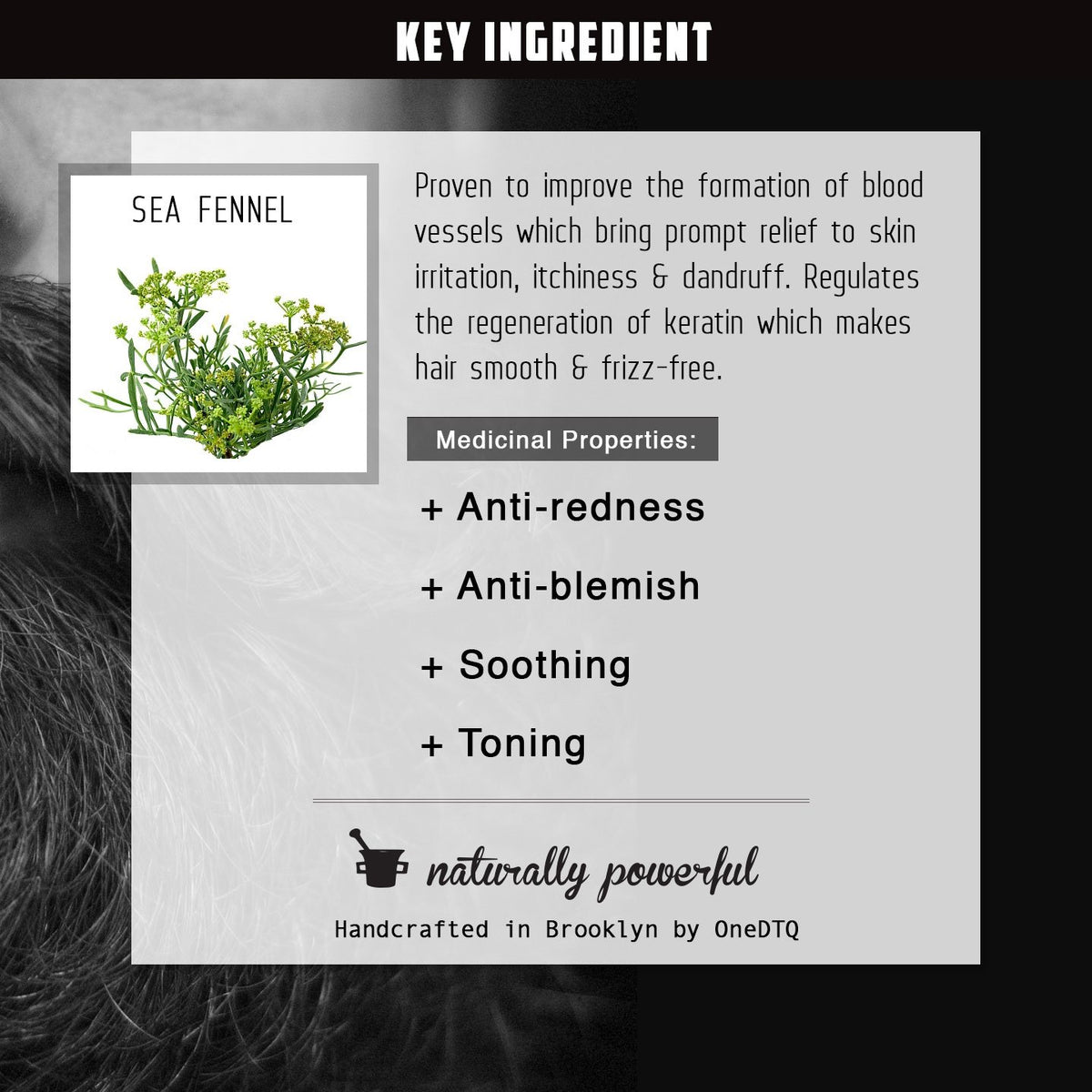 OneDTQ creamy lather texture demonstrating rich foam and conditioning