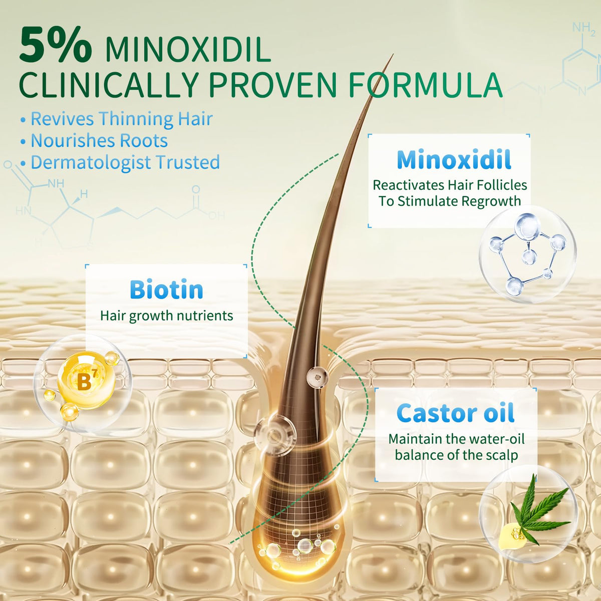 ONIADBA application on scalp illustrating targeted regrowth support