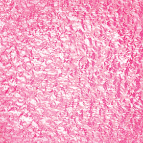 OPI pro-wide brush applying Pixel Dust showing smooth even coverage and precise application