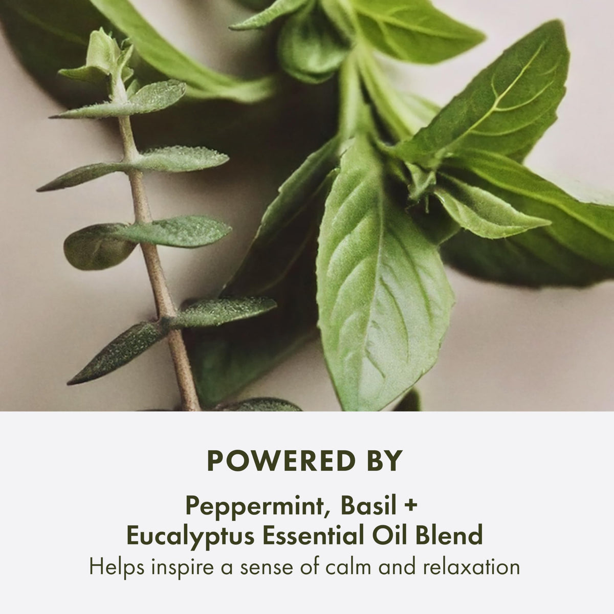 Origins exfoliating scrub texture closeup showing bamboo and walnut shell benefits