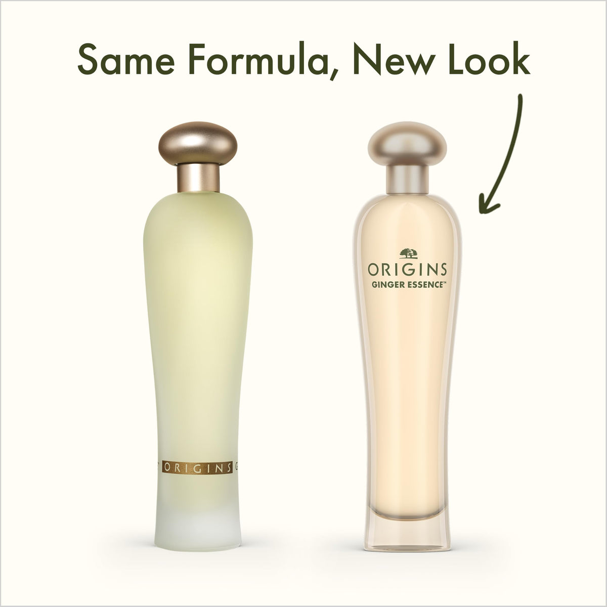 Origins still life with ginger and citrus highlighting natural aromatic ingredients