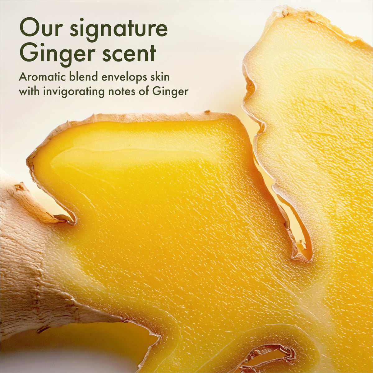 Origins label close-up showing product name and ingredient emphasis clearly