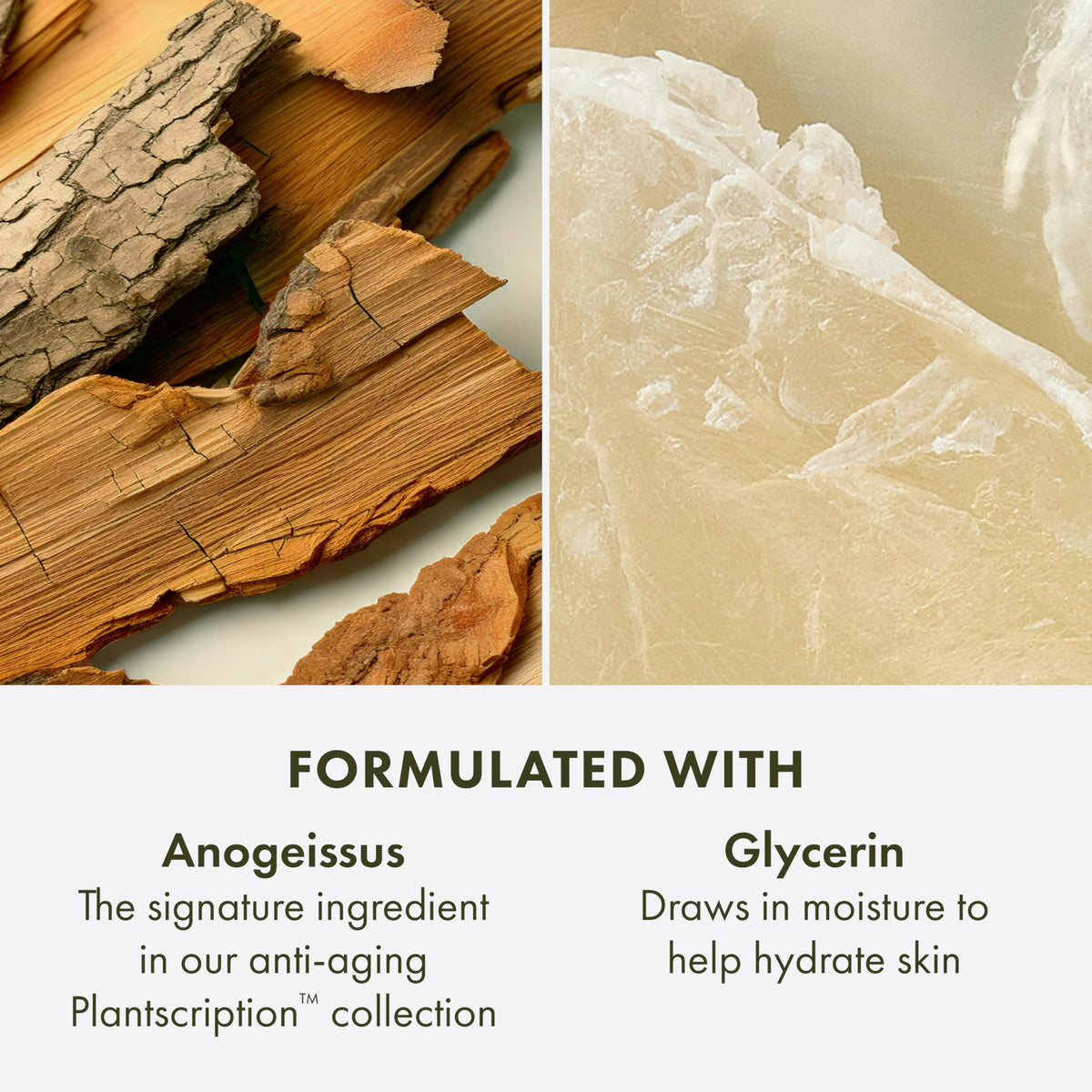 Origins glycerin drop macro showing hydrating ingredient and moisture retention benefit