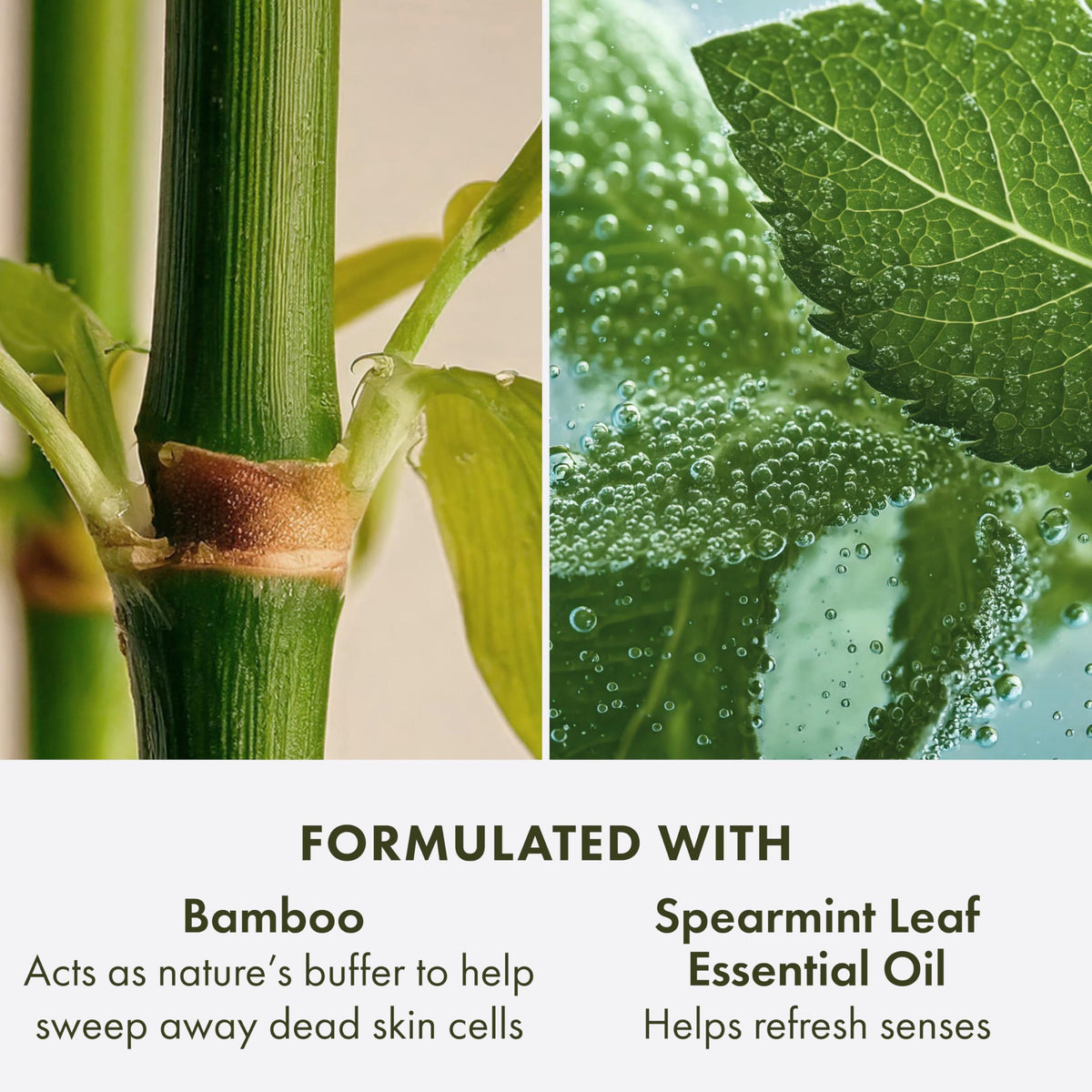 Origins product label closeup showing key ingredients and transparency benefit