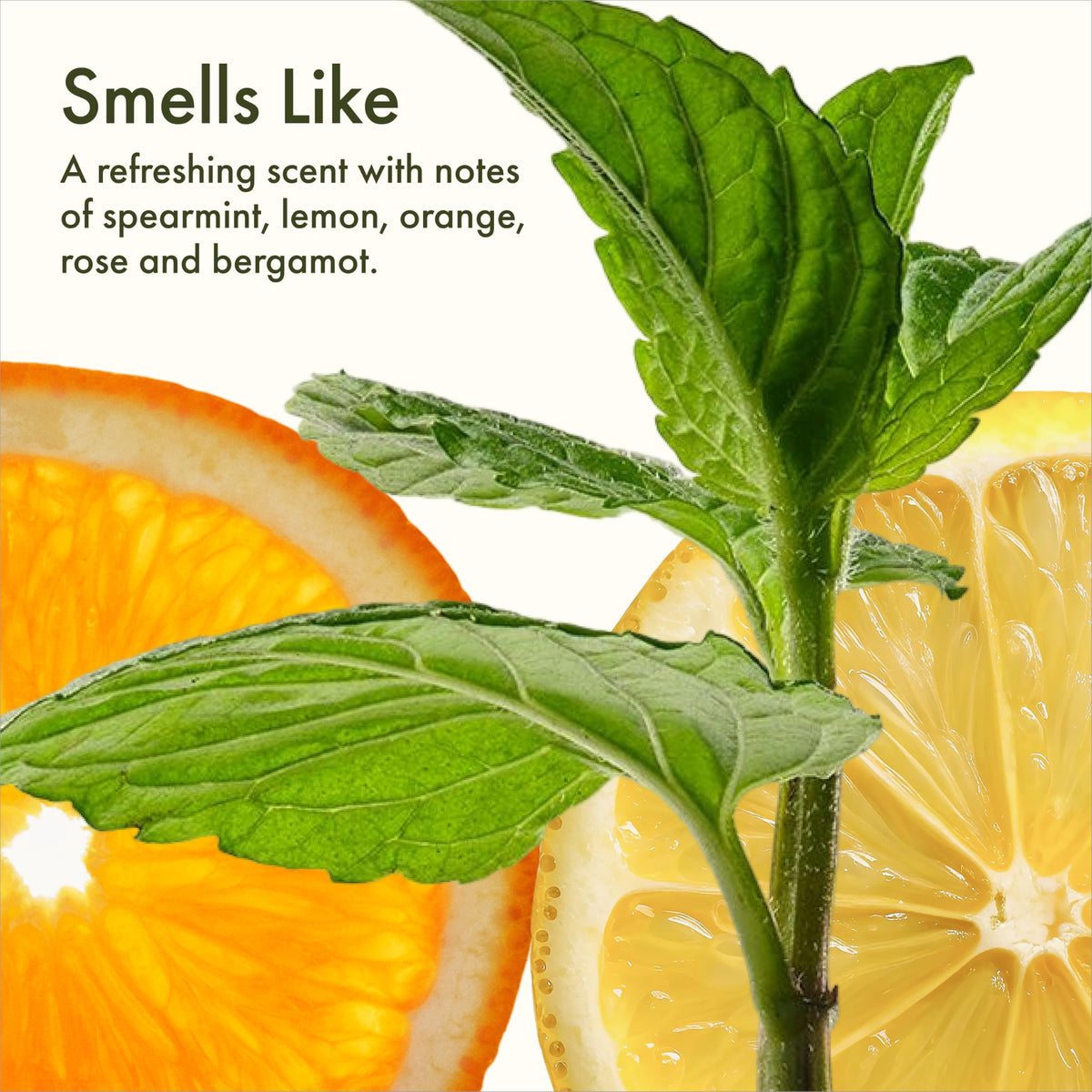 Origins back label close-up highlighting ingredients and SPF information