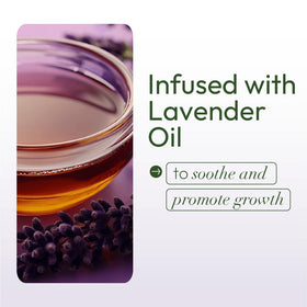 ORS ingredient lineup with olive oil and shea butter highlighting nourishment