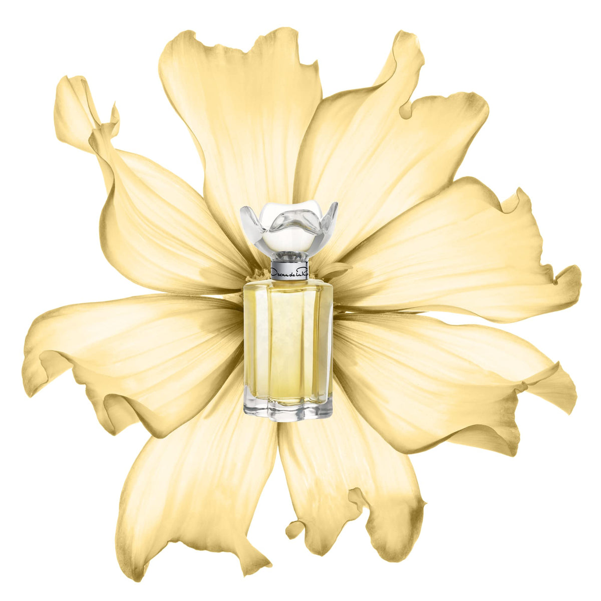Oscar de la Renta close-up of bottle cap and label highlighting luxury detail