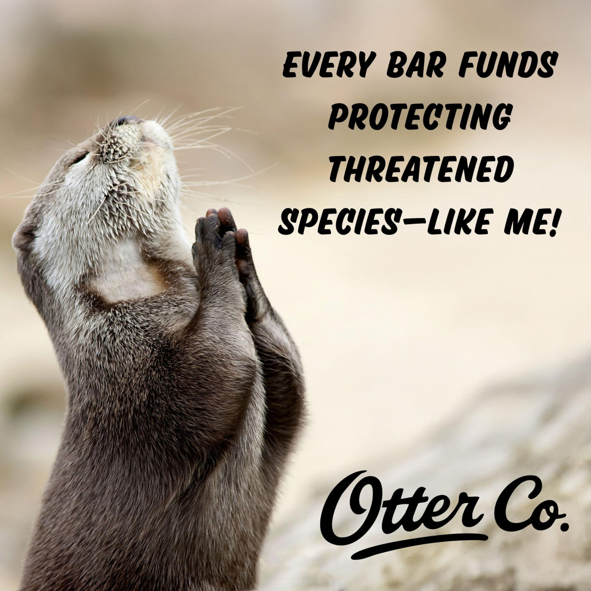 Otter Co. shampoo bar on a bathroom shelf lifestyle scene showing daily routine benefit