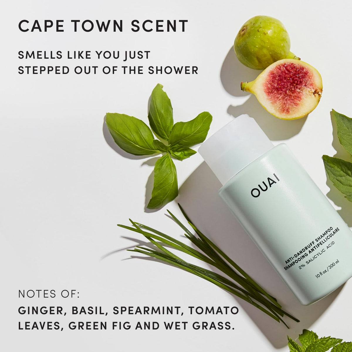 OUAI shampoo next to conditioner illustrating a complete haircare pairing benefit