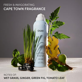 ouai arrangement of Cape Town fragrance ingredients communicating fresh green scent notes