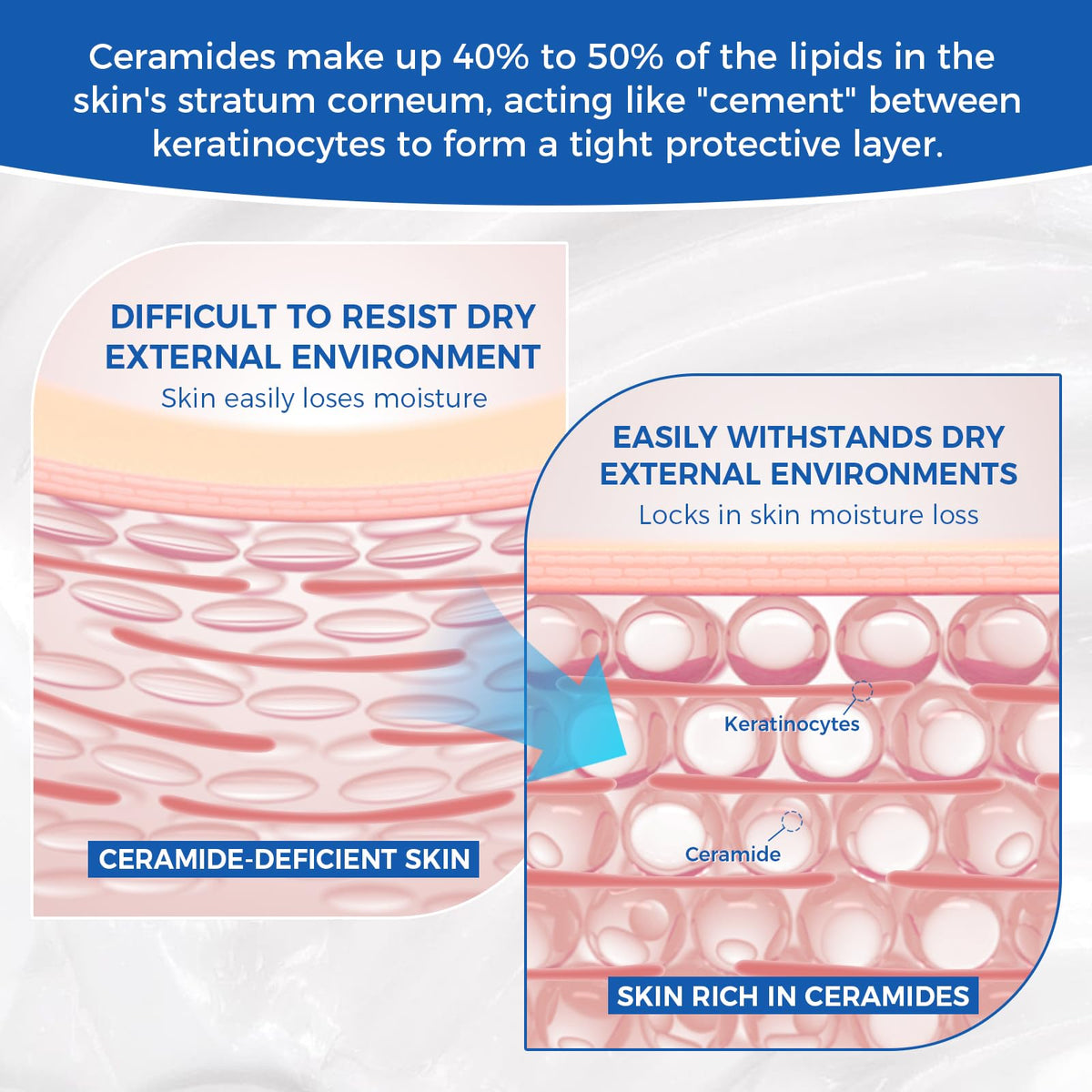 OUKEYA ingredients ceramide graphic illustrating five-ceramide complex benefit