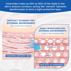 OUKEYA ingredients ceramide graphic illustrating five-ceramide complex benefit
