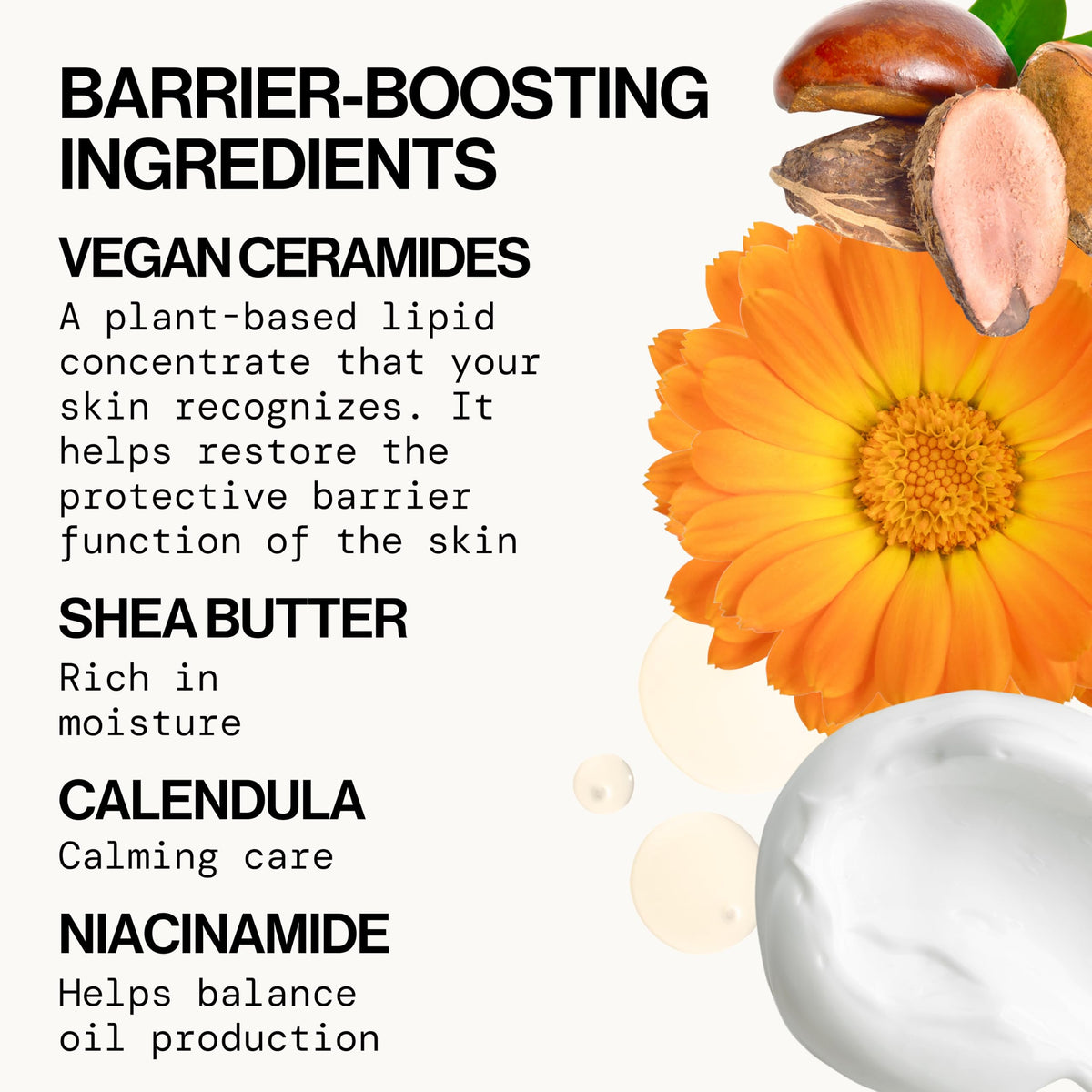 Pacifica cream texture closeup highlighting silky finish and fast absorption