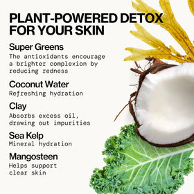 Pacifica kale and seaweed ingredients display highlighting nutrient-rich greens