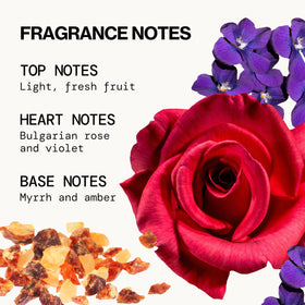 Pacifica Persian Rose fine mist spray in use, showcasing long-lasting wearable fragrance