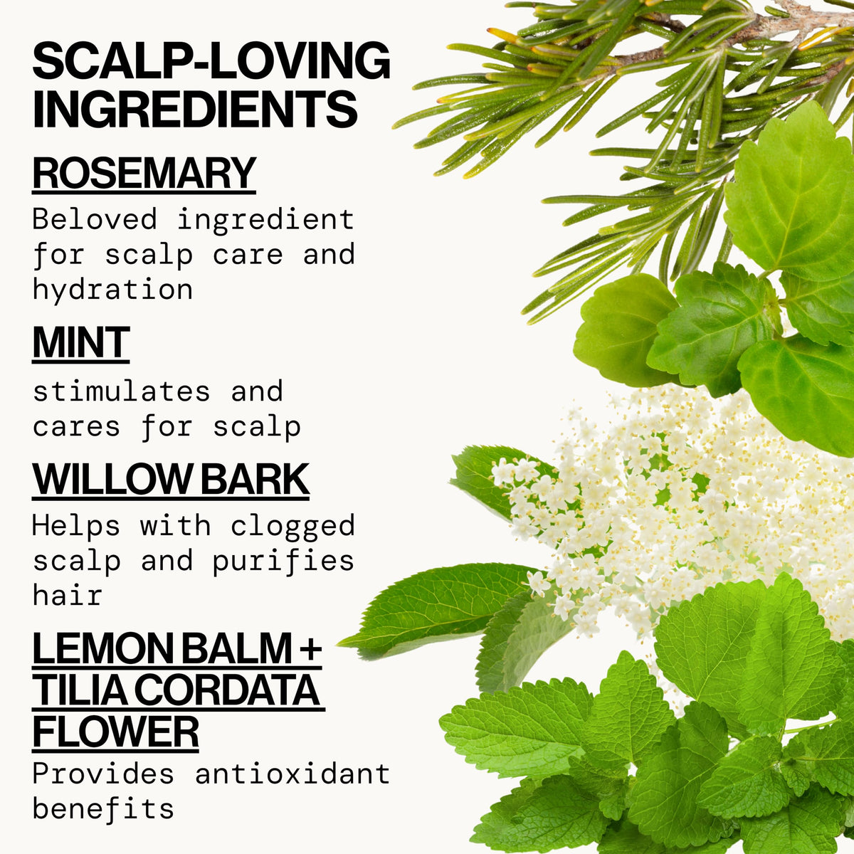 Pacifica Rosemary Purify label close-up highlighting ingredients and claims