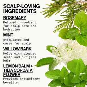 Pacifica Rosemary Purify label close-up highlighting ingredients and claims