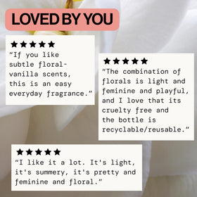 Pacifica vanilla and sandalwood base notes visual suggesting warm lingering comfort