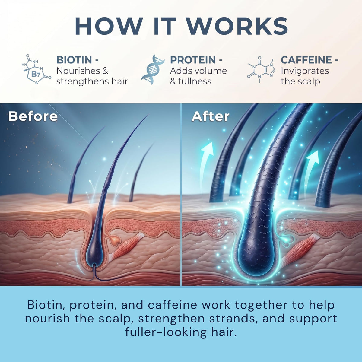 Paisle Botanics being used during blow-dry to create lift and long-lasting body