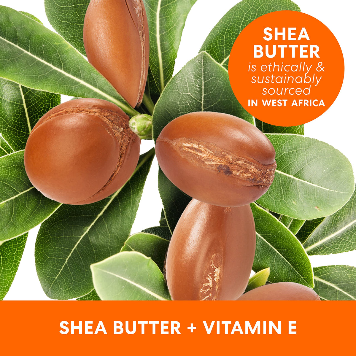 Palmer's oil applied to damp skin demonstrating hydration boost