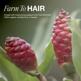 Awapuhi root ingredient image beside Paul Mitchell bottle emphasizing natural source