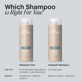Paul Mitchell styled hair after use showing shiny manageable finish and body