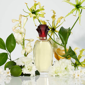 Paul Sebastian design fragrance ingredients flatlay with citrus and white flowers