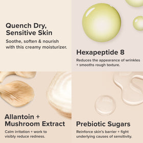 Paula's Choice moisturizer applied on hand illustrating quick absorption and comfort