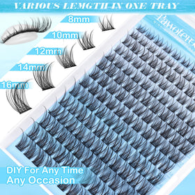 Pawotence application tools with cluster lash placement demonstrating easy DIY use
