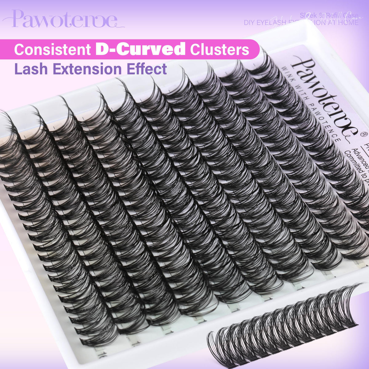 Pawotence sealed cluster close-up showing neat lash line and long-lasting hold