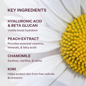 Peach & Lily kiwi and peach ingredient display highlighting antioxidants