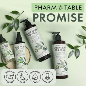 PHARM TO TABLE bottle beside ruler showing travel-friendly size