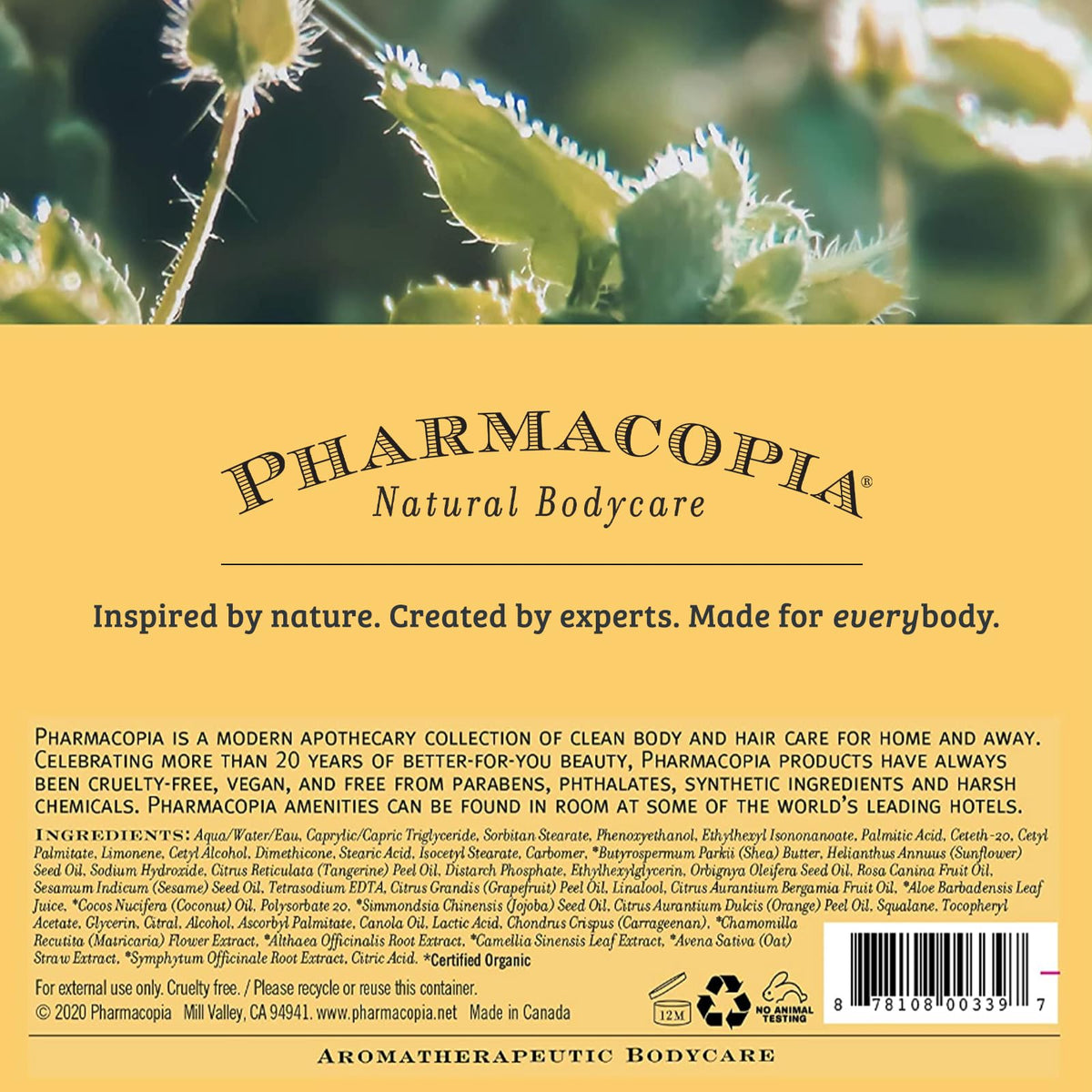 Pharmacopia citrus fruits arranged to suggest energizing orange bergamot grapefruit aroma