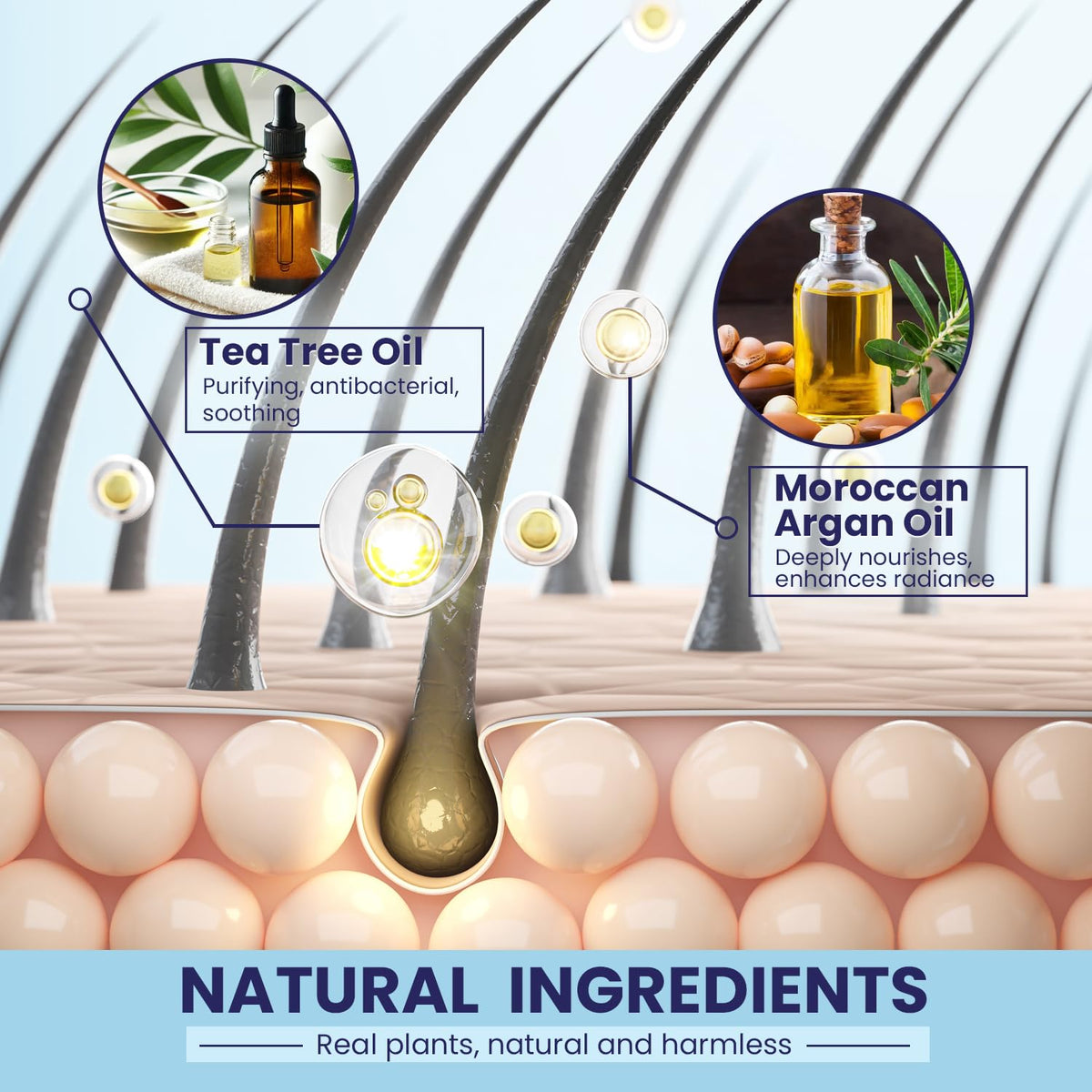 PHARMBANNER argan oil ingredient visual for added shine and softness