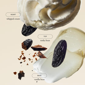 philosophy close-up on vanilla note conveying creamy comforting aroma