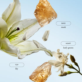 philosophy pure grace spray closeup illustrating fine mist and easy application benefit