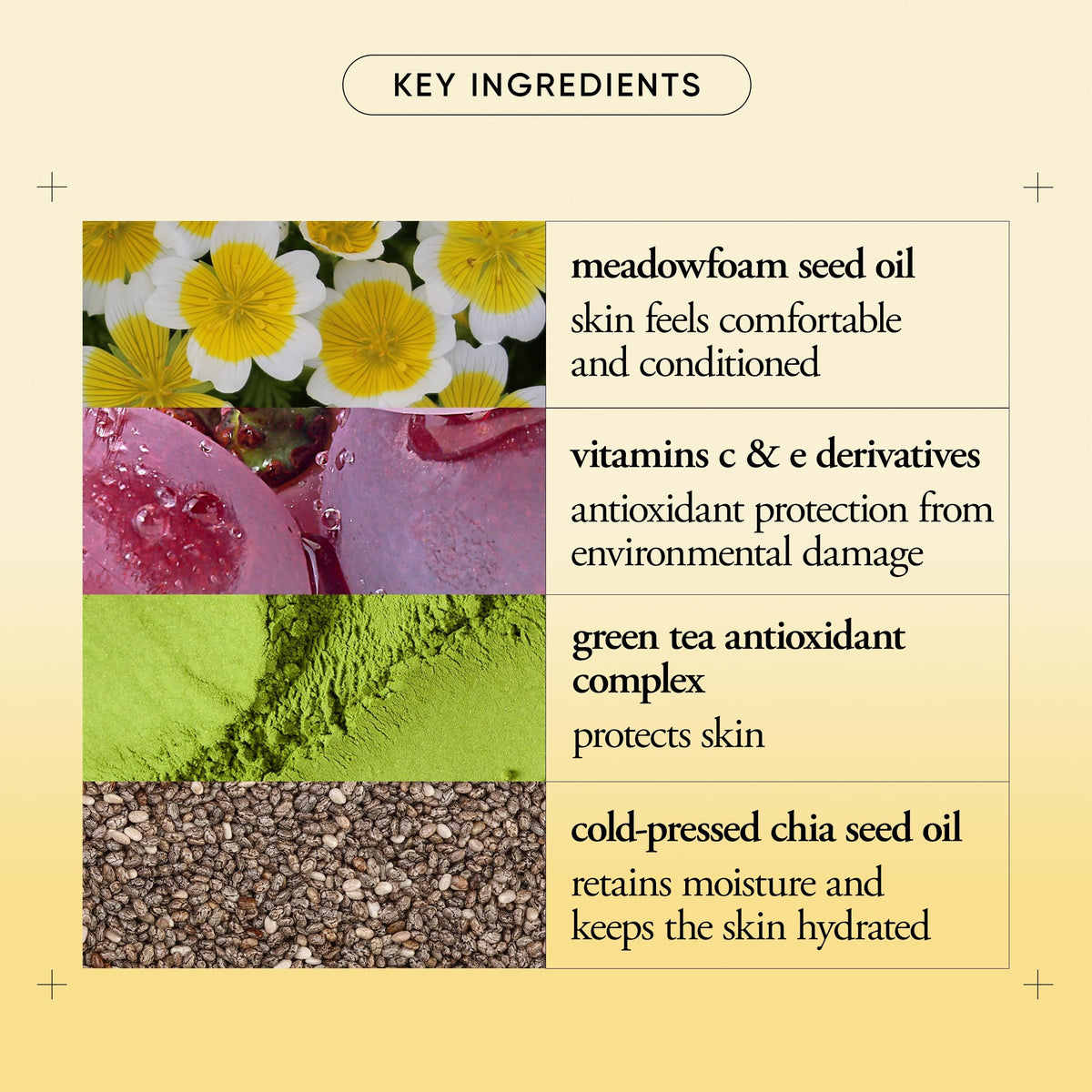 philosophy close-up of ultra-light cream texture demonstrating fast absorption benefit