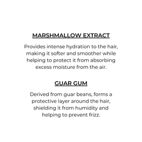 PHYTO applied to damp hair mid-lengths, demonstrating easier detangling and prep