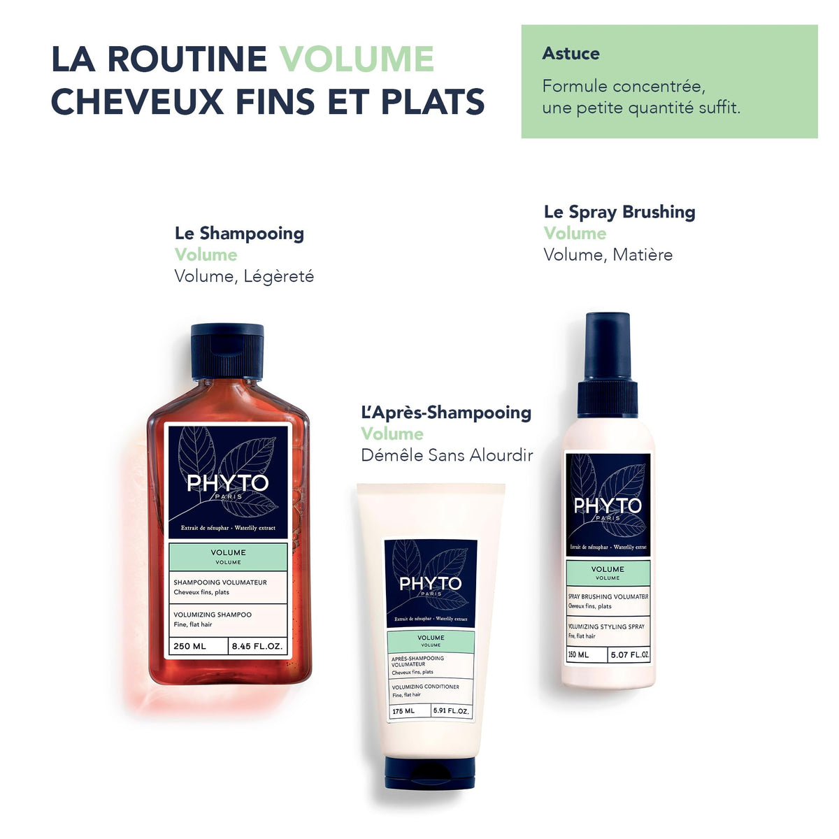 PHYTO volume in use during blow-dry creating root lift and shape